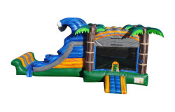 IMG 7685 1716483691 Tropical Paradise Double Lane Combo (Water or Dry Slide)