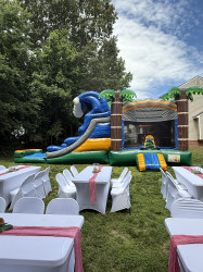 IMG 1210 1767542902 Tropical Paradise Double Lane Combo (Wet Or Dry)