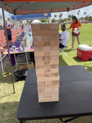 IMG 8358 1771028821 Jumbo Jenga