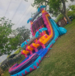 IMG 4231 1781207858 16ft Tropical Tsunami Dual Lane Slide (Wet or Dry))